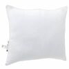 vidaXL Oreiller 2 pc 60 x 60 x 20 cm Polyester Blanc