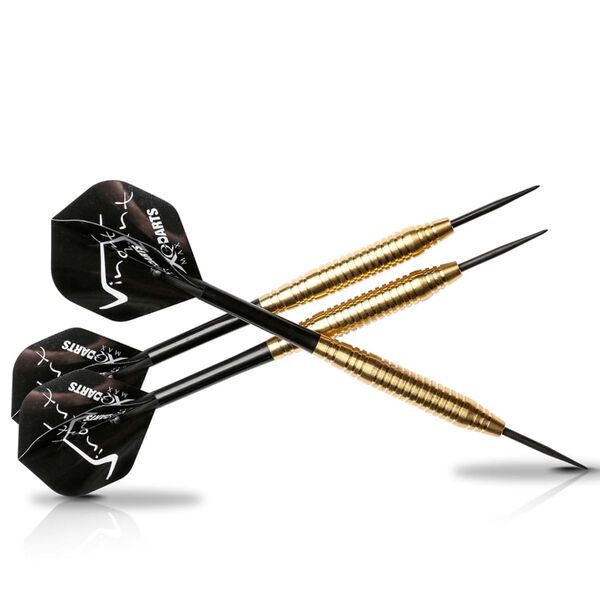 XQmax Fl&eacute;chettes VvdV 20g Laiton QD3000020