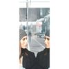 Easyprotec Film miroir de fen&ecirc;tre amovible 90x250 cm Argent&eacute;
