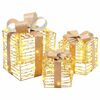 vidaXL Bo&icirc;te Cadeau avec 60 LED 3 pcs Blanc chaud 20 x 20 x 20 cm PET