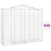 vidaXL Paniers &agrave; gabions arqu&eacute;s 40 pcs 200x50x160/180 cm Fer galvanis&eacute;