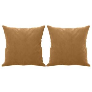 vidaXL Coussins d&eacute;coratifs lot de 2 Marron 40x40 cm Velours