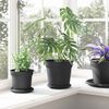 vidaXL Pot &agrave; fleurs rond 24 pcs Noir &Oslash; 19 x 16 cm Plastique