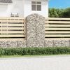 vidaXL Panier de gabions arqu&eacute; 100x50x200/220 cm Fer galvanis&eacute;