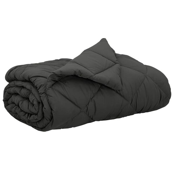 vidaXL Duvet d'&eacute;t&eacute; simple Anthracite 200 x 200 cm Microfibre