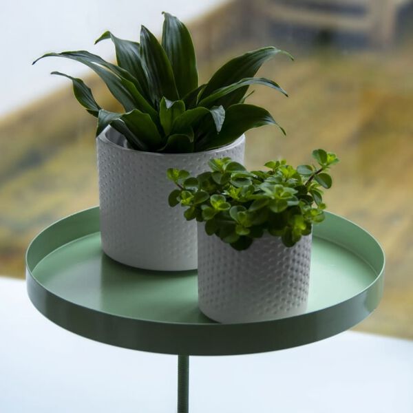 Esschert Design Plateau pour plantes avec pince rond vert L