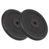 vidaXL Plaque de poids 2 pcs 2x20 kg Fonte