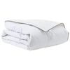 vidaXL Duvet d'hiver 140 x 220 cm Hiver Plume Blanc Respirant