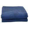 vidaXL Tapis de tente bleu 3x3 m