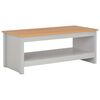 vidaXL Table basse Gris 105x47x42 cm