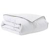 vidaXL Duvet d'hiver Blanc 140 x 220 cm Plume