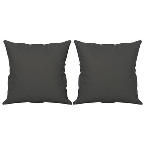 vidaXL Coussins d&eacute;coratifs lot de 2 Gris fonc&eacute; Tissu microfibre
