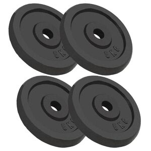 vidaXL Plaque de poids 4 pcs 4x5 kg Fonte