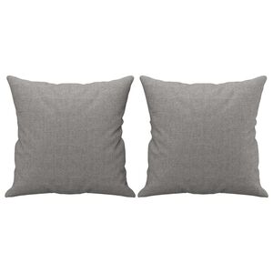 vidaXL Coussins d&eacute;coratifs lot de 2 Gris clair 40x40 cm Tissu