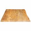 vidaXL Dessus de table &agrave; bord vivant 100x60x2,5cm bois massif manguier