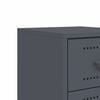 vidaXL Tables de chevet 2 pcs anthracite 36x39x60,5 cm acier