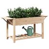 vidaXL Cache-pot de jardin avec étagère Beige 155 x 59 x 76,5 cm