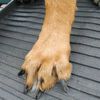 PetSafe Rampe pour chien 180x45x6 cm Anthracite