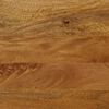 vidaXL Banc 160x40x45 cm bois massif de manguier et fer