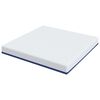 vidaXL Matelas Blanc et Bleu 200 x 200 cm Tissu jacquard