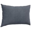 vidaXL Coussins de canap&eacute; 2 pcs Gris fonc&eacute; 60 x 40 cm