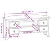 vidaXL Meuble TV Marron 100 x 40,5 x 46 cm Bois de Mahogany Massif