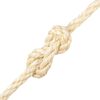 vidaXL Corde 100 % sisal 10 mm 500 m