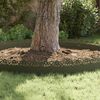 vidaXL Bordures de pelouse 10 pcs Vert olive 103 x 0,05 x 22 cm Acier