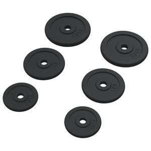 vidaXL Plaques de poids 6 pcs 30 kg Fonte