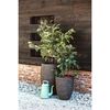 Capi Jardini&egrave;re Nature Row 54x52 cm Vert olive