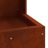 vidaXL Braise Marron 50 x 50 x 100 cm Acier
