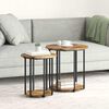 vidaXL Ensemble de tables d'appoint avec &eacute;tag&egrave;re 2 pcs Marron