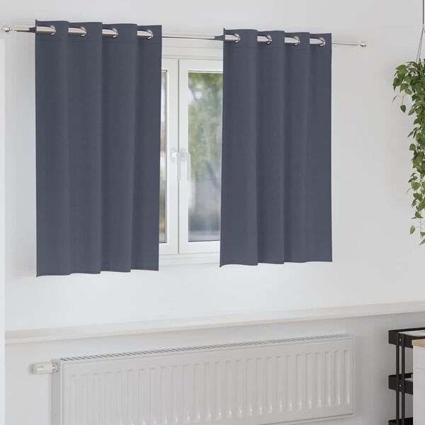 vidaXL Rideaux occultants avec anneaux 2 pcs Anthracite 140 x 140 cm