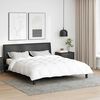 vidaXL Duvet d'hiver Blanc 240 x 200 cm Plume