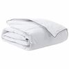vidaXL Duvet d'hiver 200 x 240 cm Hiver Plume Blanc Respirant
