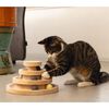 Designed by Lotte Tour de jeu pour chats Mia 26x14,5 cm Bois