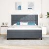 vidaXL Lit &agrave; ressort LED avec matelas Gris fonc&eacute; 180 x 200 cm tissu