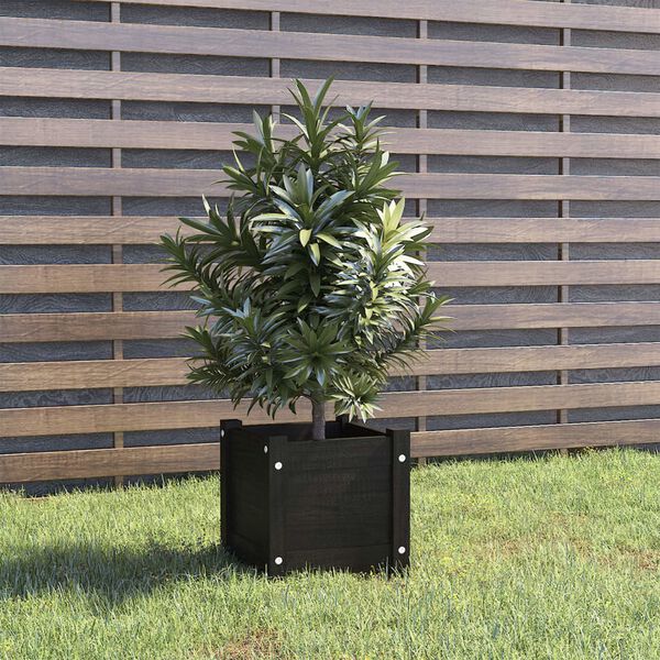 vidaXL Jardini&egrave;re d'ext&eacute;rieur Noir 31x31x31 cm Bois de pin massif