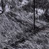 vidaXL Tapis Shaggy à poils longs NAVARRA gris foncé 130x200 cm