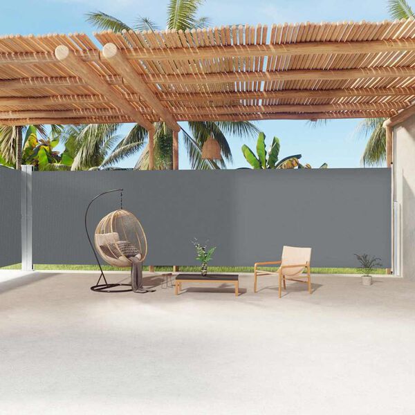 vidaXL Auvent latéral rétractable Anthracite 220x1200 cm