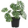 vidaXL Pot &agrave; fleurs rond 24 pcs Noir &Oslash; 15 x 12 cm Plastique