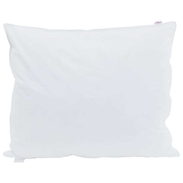 vidaXL Oreiller avec oreiller 2 pcs Blanc 60 x 70 cm Plume