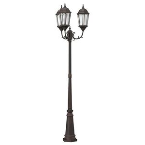 vidaXL Lumi&egrave;re de jardin 61 x 53 x 235 cm Aluminium et verre