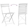 vidaXL Chaise de jardin pliante 2 pcs Blanc 42 x 46 x 82cm M&eacute;tal