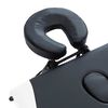vidaXL Table de massage pliable 4 zones Aluminium Noir et blanc