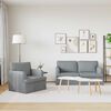 vidaXL Canap&eacute; 2 pcs Gris clair