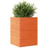 vidaXL Jardini&egrave;re cire marron 50x50x68,5 cm bois de pin massif