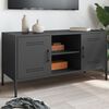 vidaXL Meuble TV noir 100,5x39x50,5 cm acier