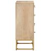 vidaXL Commode 55x30x76 cm bois massif de manguier et fer