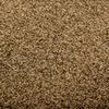 vidaXL Paillasson lavable Marron 40x60 cm
